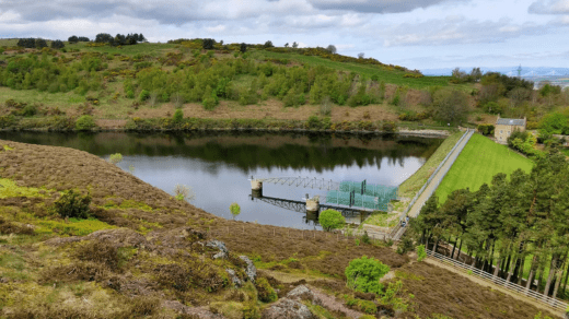 Exploring Bonaly Country Park: A Guide