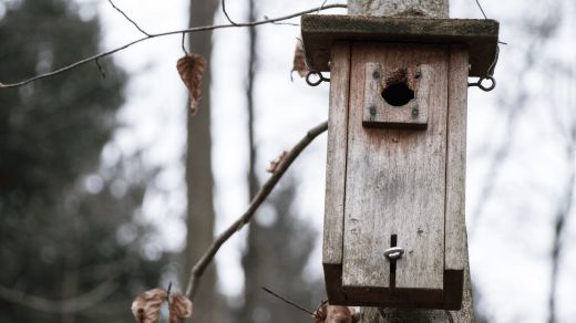 Versatile and Practical: Wooden Garden Houses for Every Need